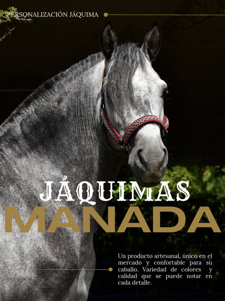 Jáquimas Personalizadas para Caballos | PDF