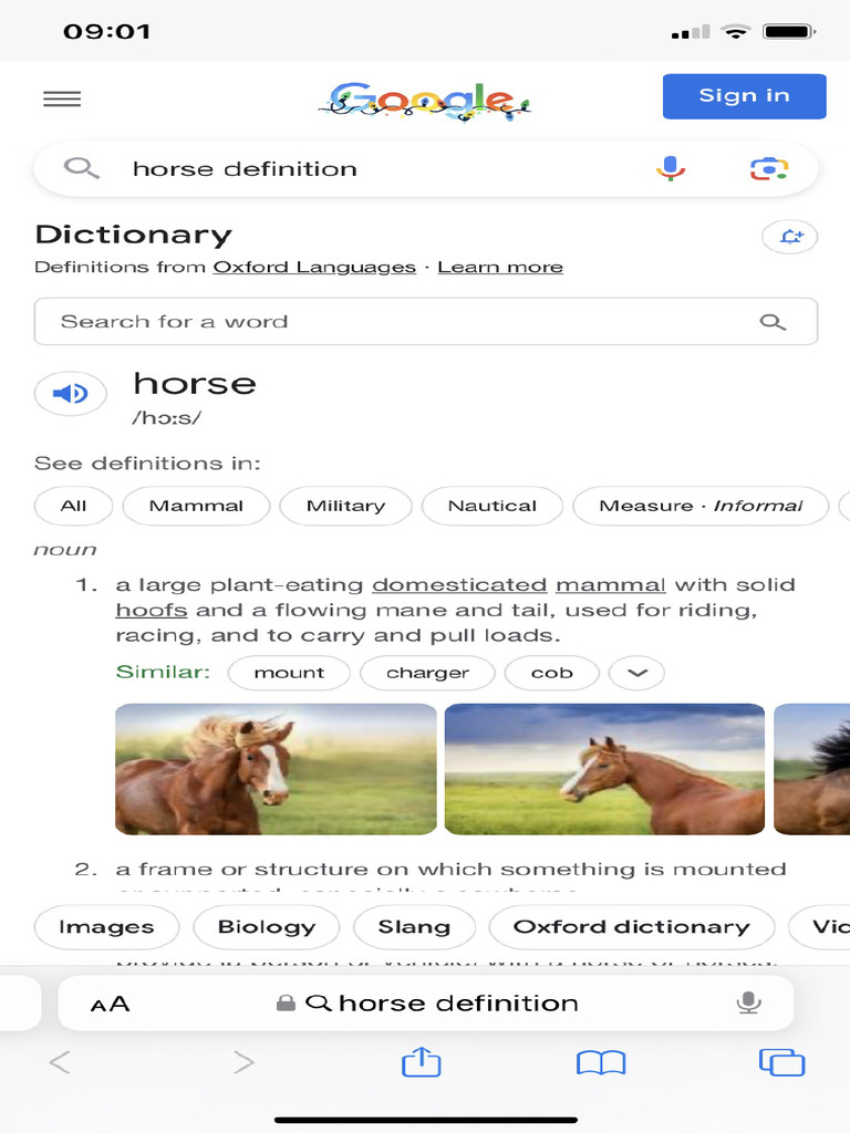 horse-definition-google-search-pdf