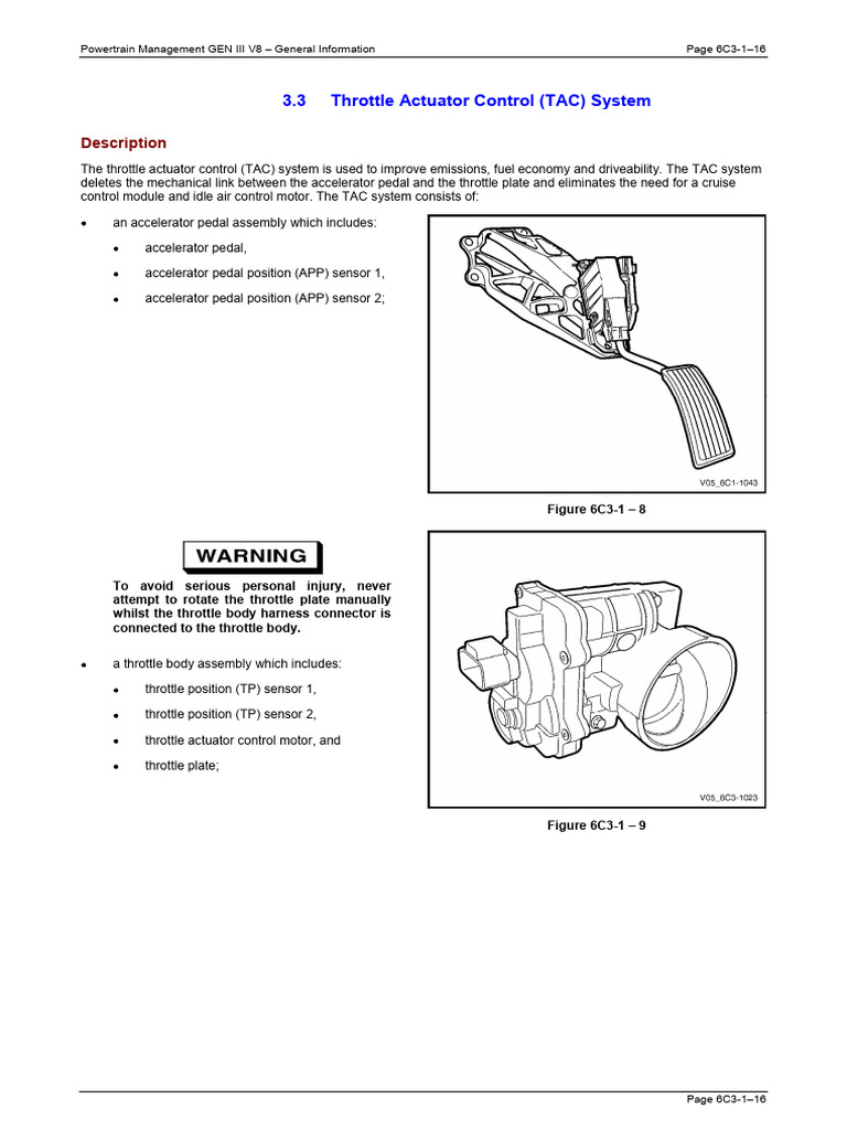 Tac VZ LS1V8 | PDF