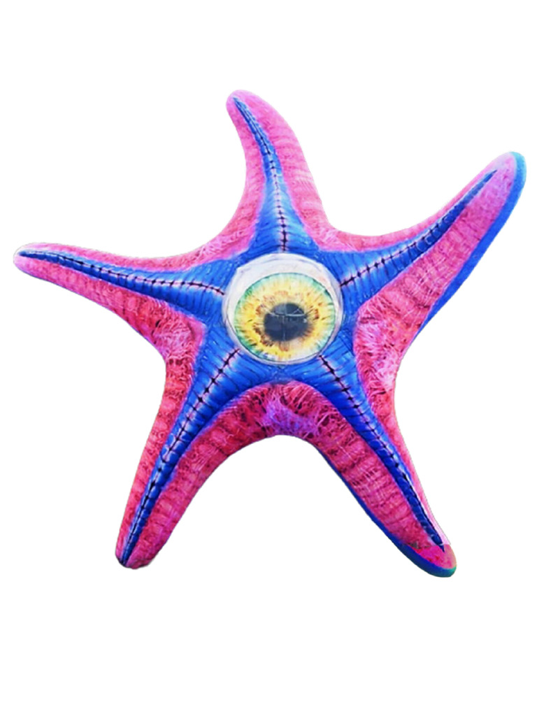 Starro | PDF
