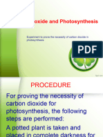 Experiment - Carbon Dioxide and Photosynthesis