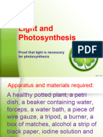 2023 Checkpoint Experiment-light and Photosynthesis.pptx