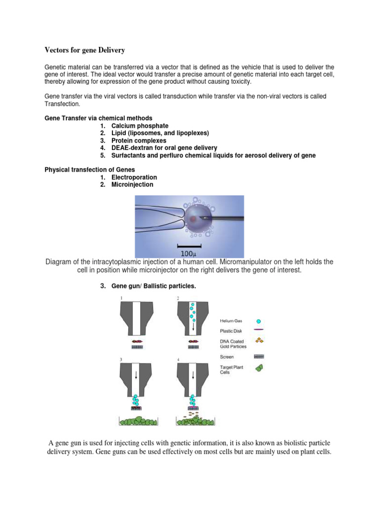 Gene Delivery Vectors Explained | PDF | Viral Vector | Virus
