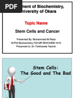 Understanding Stem Cells and Therapies | PDF | Stem Cell | Cell Potency