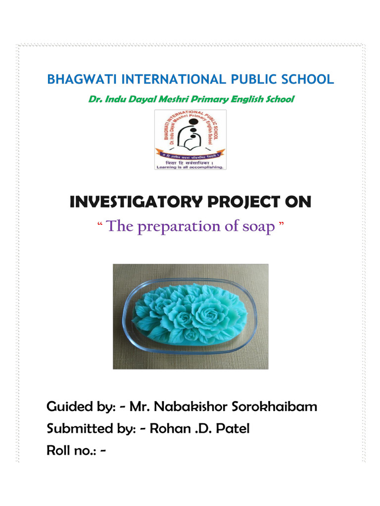 Chemistry Project PDF Soap Detergent