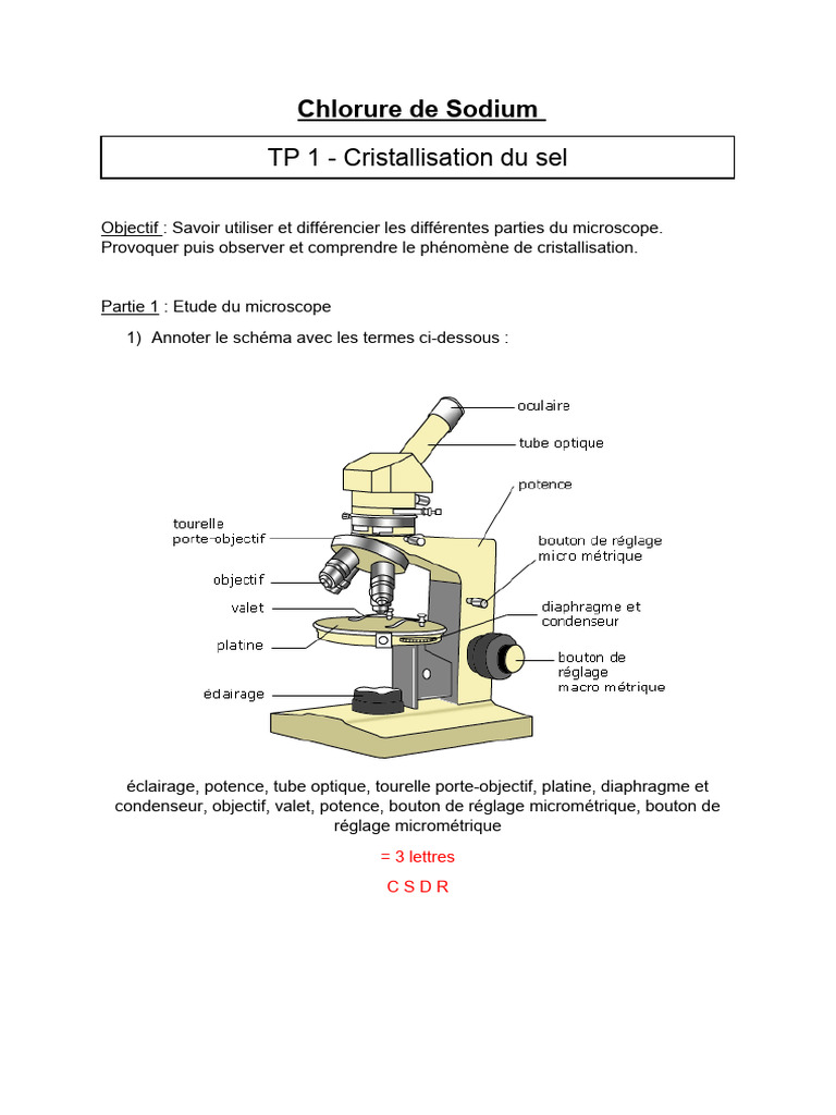 Observation de la cristallisation du sel | PDF | Chlorure de sodium ...