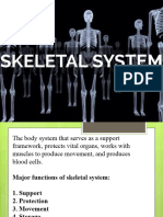 Skeletal System Updated