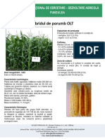 Hibridul de Porumb OLT: Capacitate de Producţie