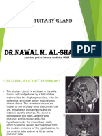 4 - Pituitary Gland Diseases