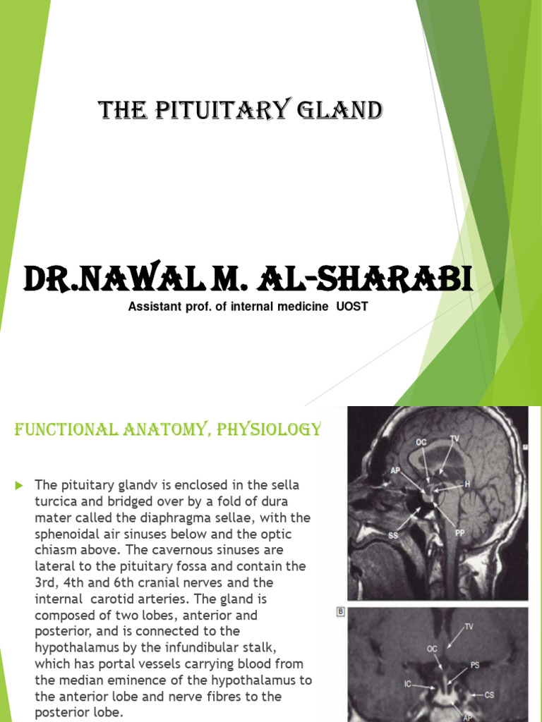 Disorders of the Pituitary Gland | PDF | Medical Specialties | Clinical ...