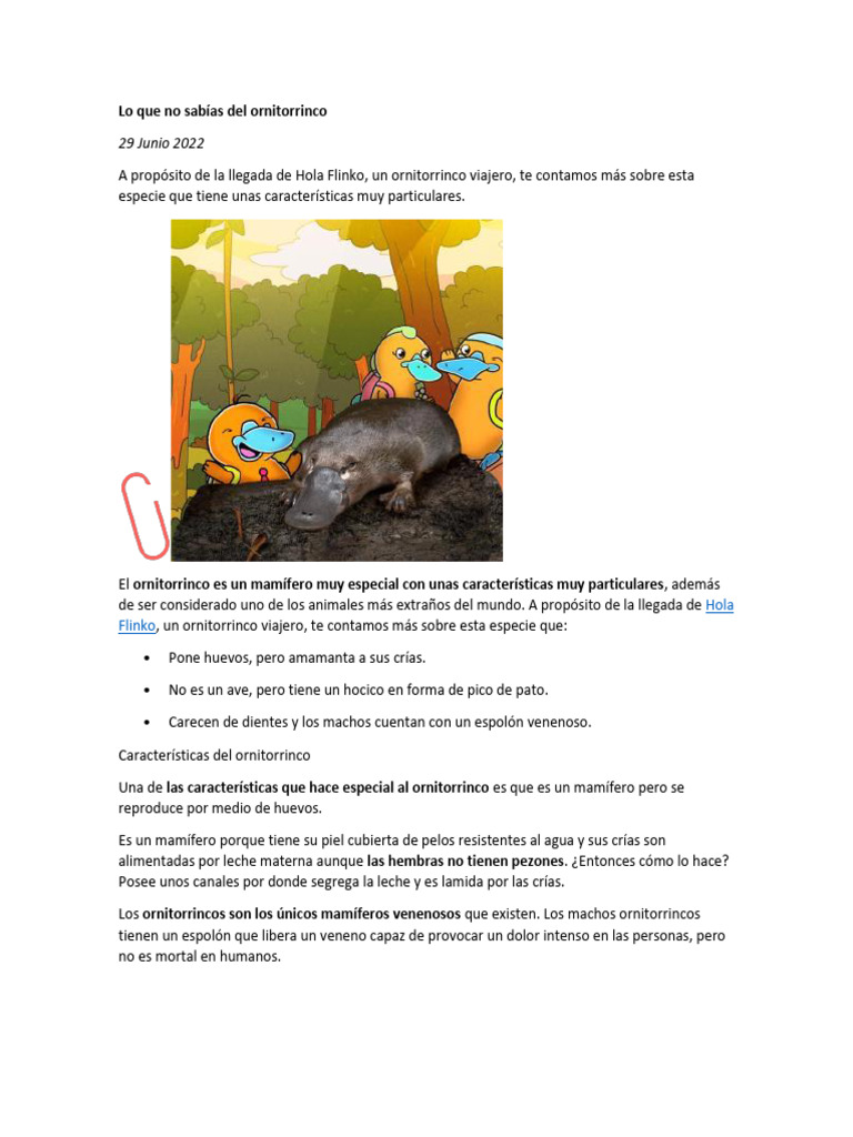 Ornitorrinco | PDF