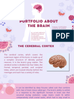 Brain Portfolio