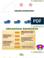 Organisasi Kehidupan