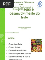 Embriologia Experimental