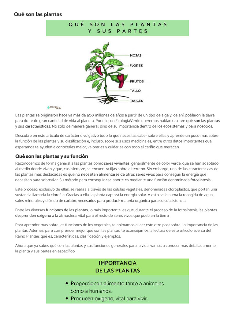 Qu Son Las Plantas Ecologiaverde PDF