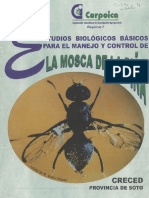 Estudios biologicos basicos para el manejo y control integrado de la mosca de la piña