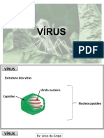 virus 