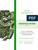 Lecture 25 - Lower Digestive Tract