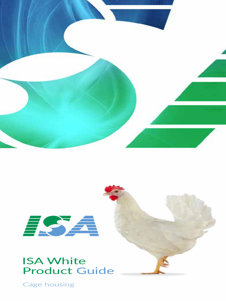 ISA White Chicken Management Guide | PDF