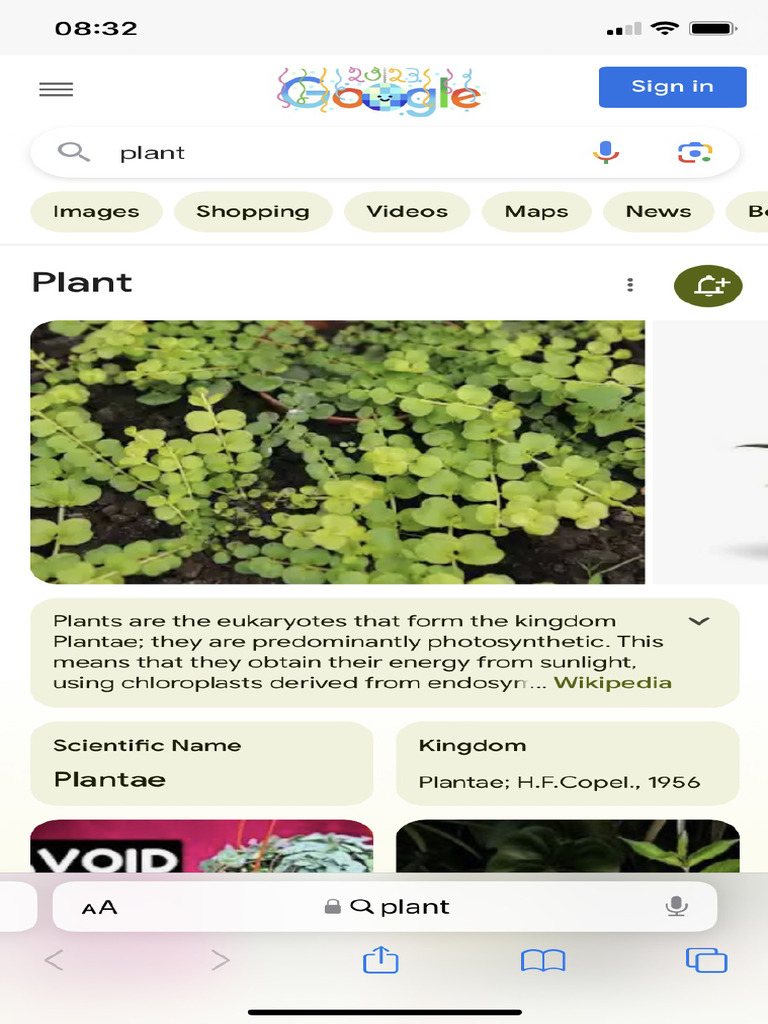Plant Google Search PDF