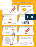 Obervação Ao MOC - [Apices Da Cebola] (BR)