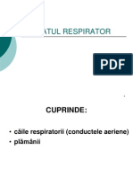 LP Respirator Histologie