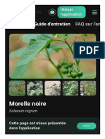 Morellenoire (Solanumnigrum) PictureThis 1704016253202