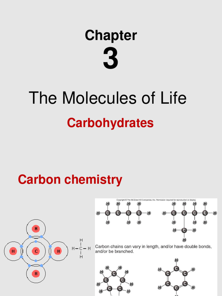 CH 3 Biomolecules 1 Carbohydrates PDF