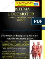 2 SISTEMA LOCOMOTOR Finalizado