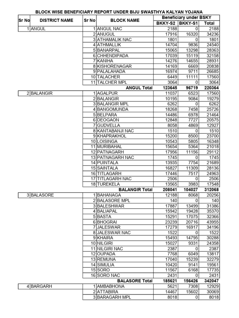 bsky-beneficiary-report-pdf