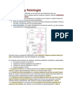 Neumologia Primera Evaluacion (Apuntes)