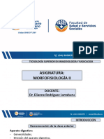 CLASE Sistema Renal