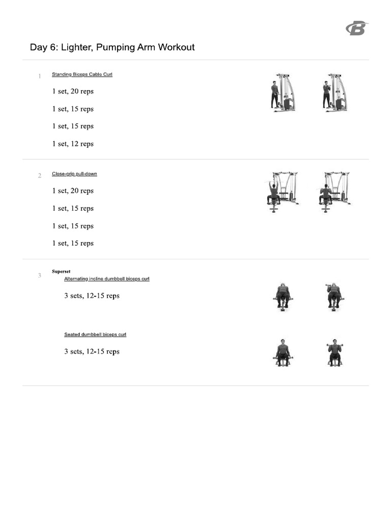 Arms light pdf