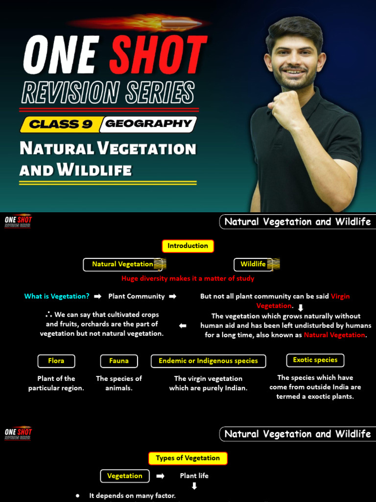 Natural Vegetation and Wildlife Overview | PDF | Forests | Botany