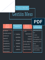 Infografía Gestión Meso