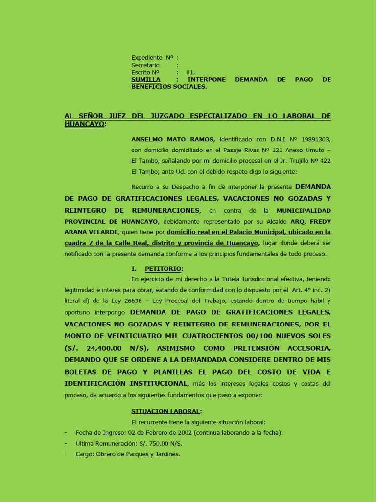 demanda-homologacion-rem-laboral-anselmo-mato-pdf-derecho