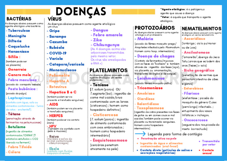 Doenças Transmitidas por Água e Vetores | PDF