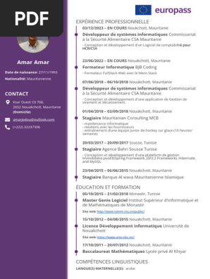 Modern CV