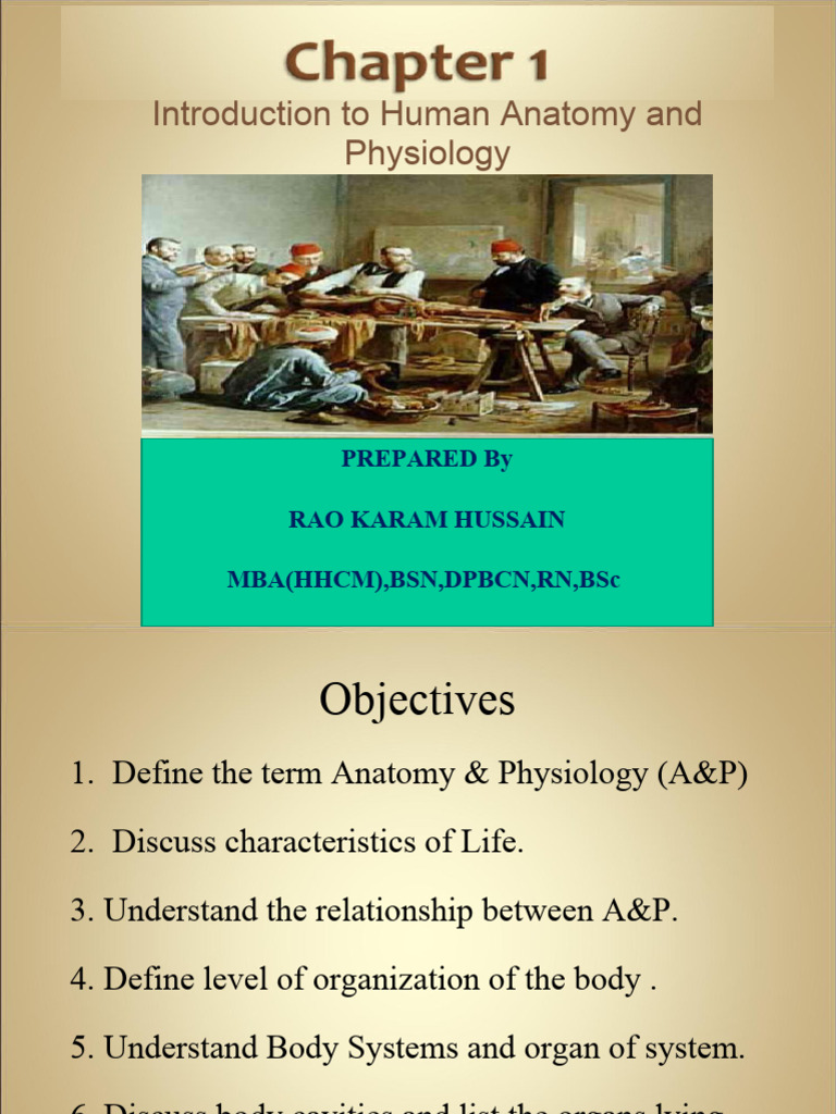 Anatomy and Physiology Overview | PDF