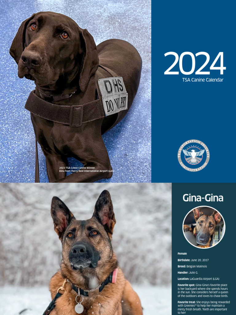 Tsa Canine Calendar 2024 Calendar Printable Dotty Kathryn