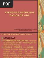 Atencao a Saude Nos Ciclos de Vida