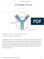 Antibody - Structure, Classes and Functions