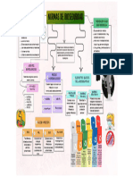 Normas de Bioseguridad Mapa Conceptual 1