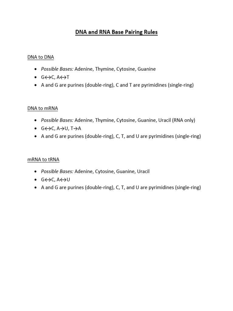 DNA RNA Base Pairing Rules PDF