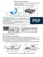 Structure - Pore Nucleaire