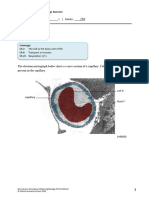 Capillary e