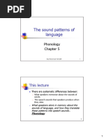 The Sound Patterns of Language