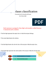 Hydrolases Classification