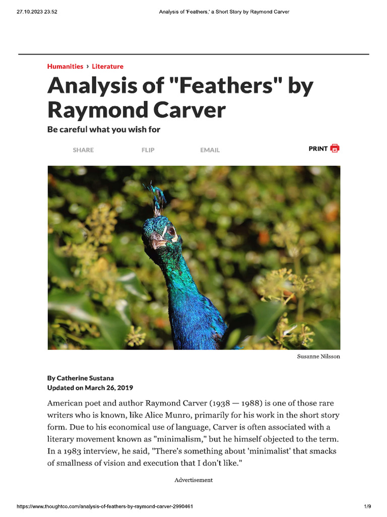 Analysis of Feathers | PDF