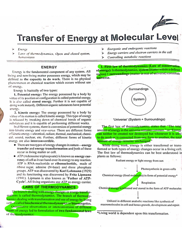 Thermodynamics | PDF